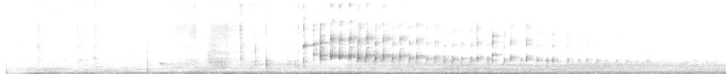 American Barn Owl - ML633541691