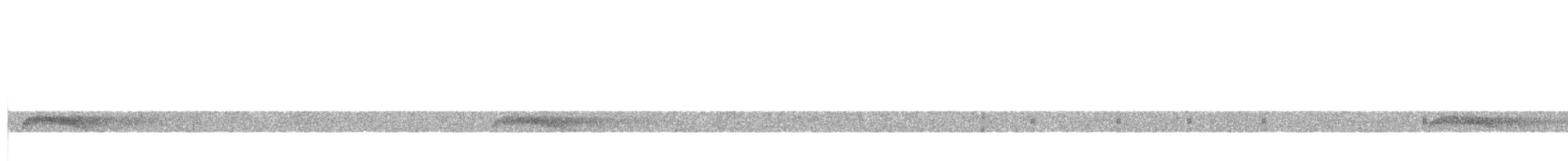 Black-billed Scythebill - ML633542528