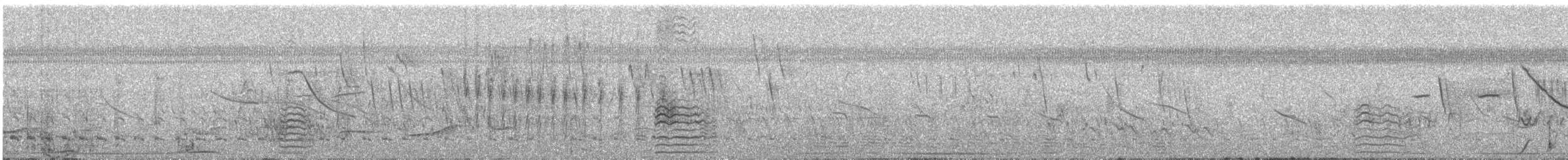 クビワコガモ - ML633543791