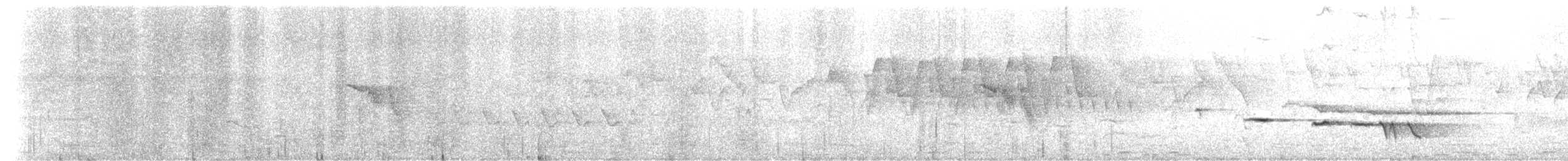 Gray-bellied Tesia - ML633552436