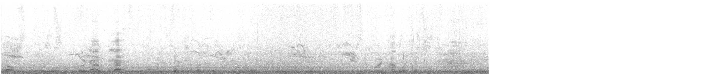 White-cheeked Tern - ML633556655