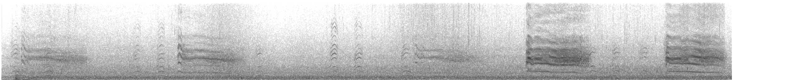 White-cheeked Tern - ML633557189