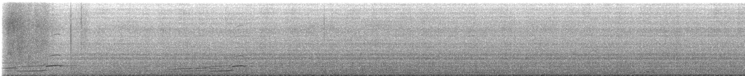 Plongeon du Pacifique - ML633557406