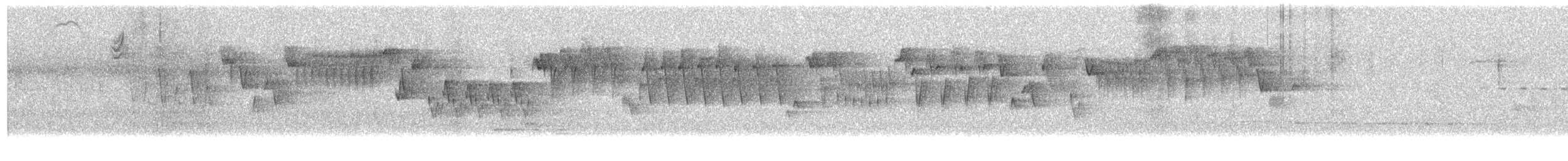 Pacific Wren - ML633557888