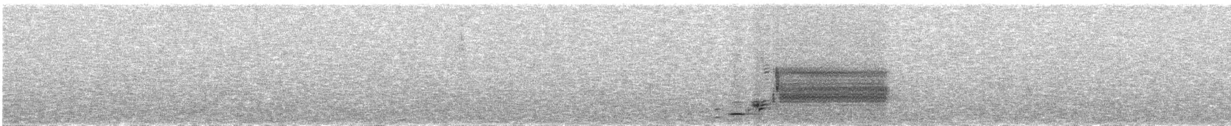 Red-winged Blackbird - ML633558894