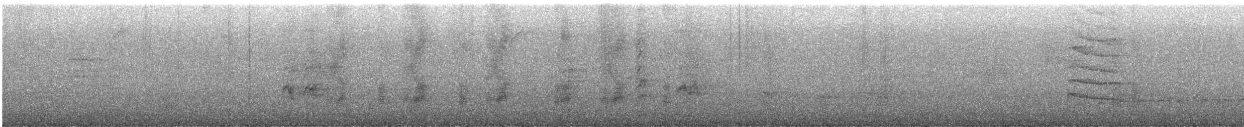 Masked Tityra - ML633561731