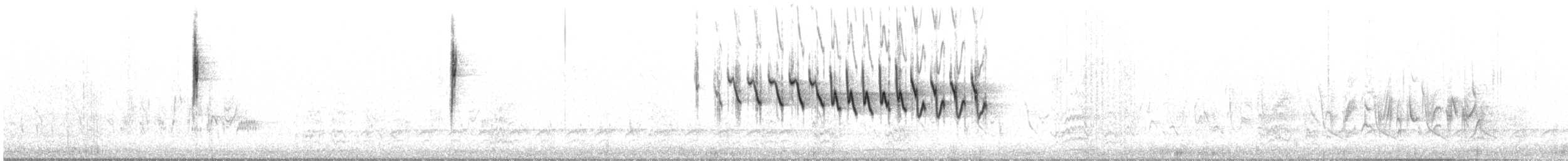 Lucy's Warbler - ML633562269