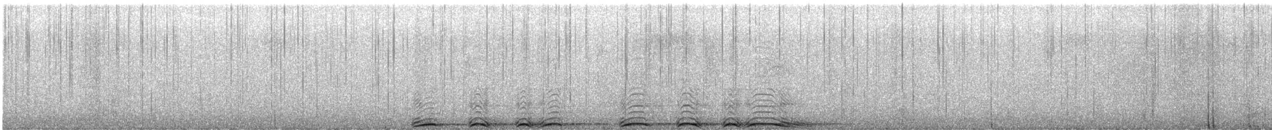 Barred Owl - ML633563254