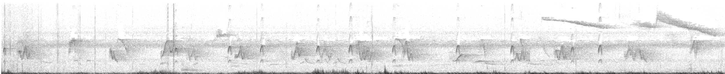Couch's Kingbird - ML633563858