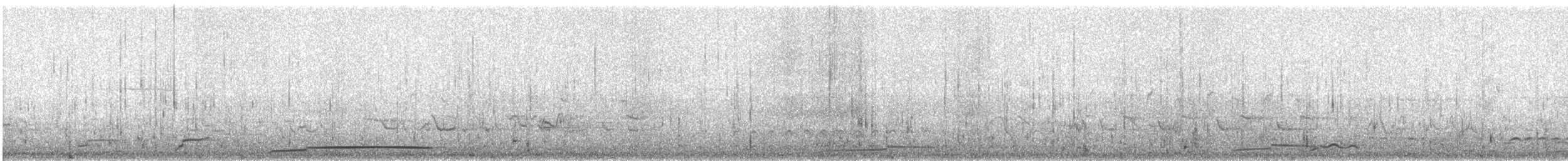 Common Loon - ML633565816