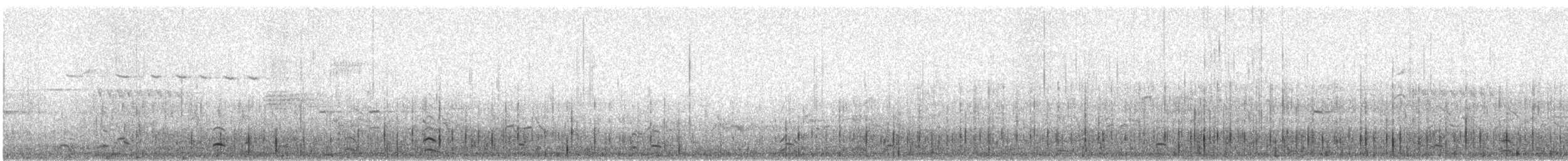 Common Loon - ML633566805