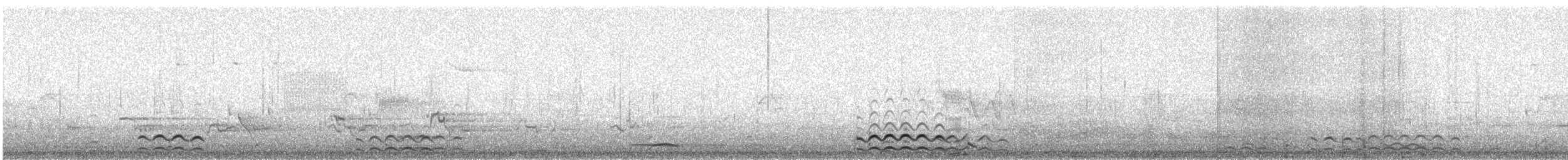Common Loon - ML633566807