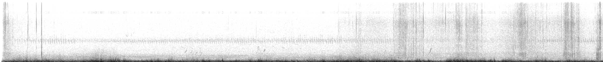 bartramie dlouhoocasá - ML633569783