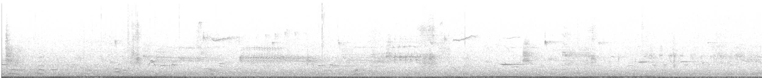Canard d'Amérique - ML633578885