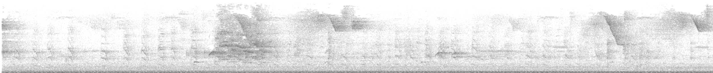 White-winged Parakeet - ML633581659