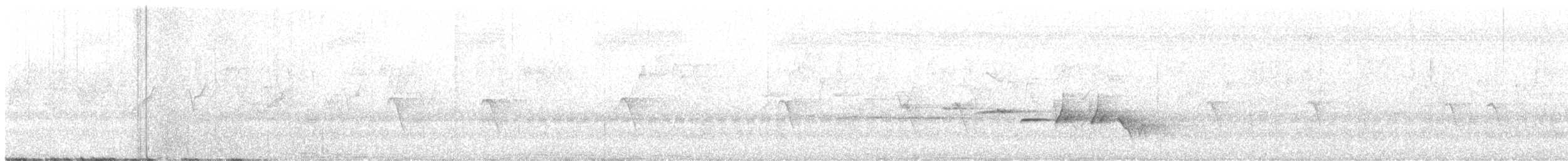 Gray-bellied Tesia - ML633582611