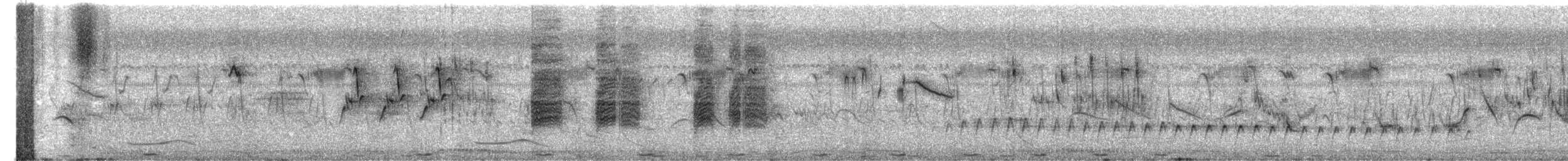 Black Francolin - ML633583718