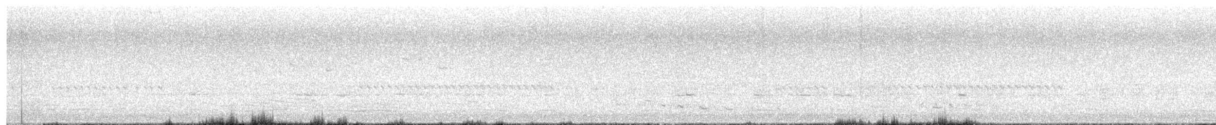Spangled Drongo - ML633584210