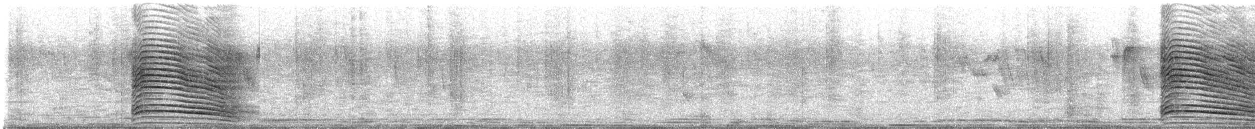 Hadada Ibis - ML633585253