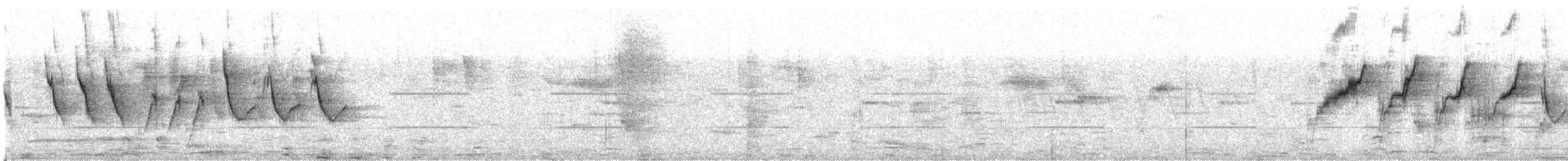 African Pied Wagtail - ML633585284