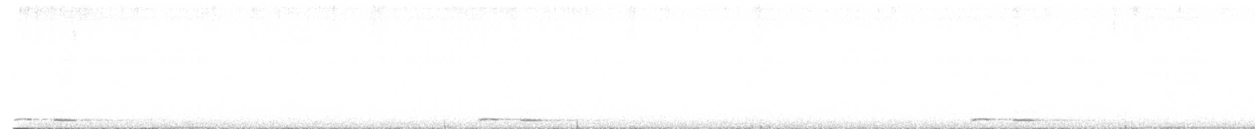 Tasmanian Boobook - ML633585703