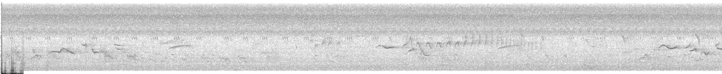 Oriental Magpie-Robin - ML633588221