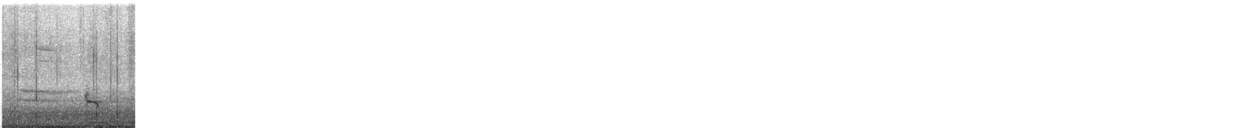 Rascón de Virginia - ML633591185