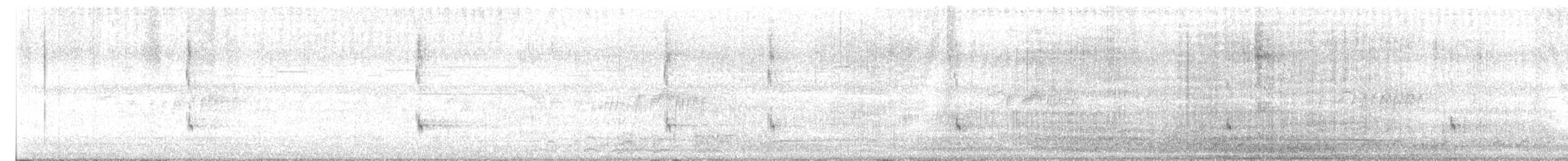 Quiscale violet - ML633593655