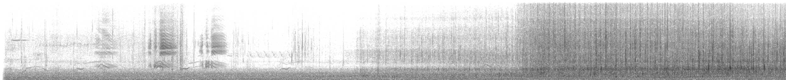 Smergo minore - ML633594864