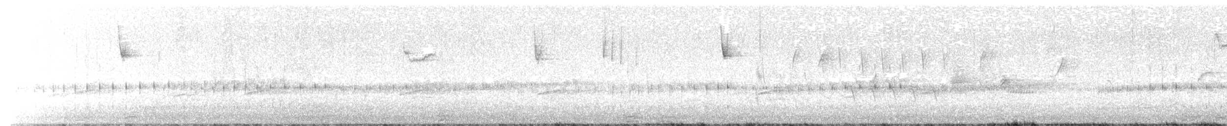 Boreal Chorus Frog - ML633595115