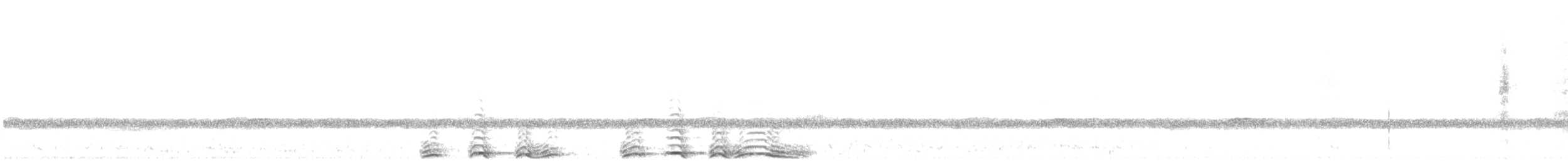 Barred Owl - ML633595634