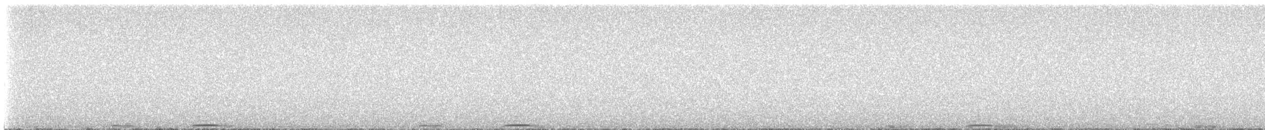 アメリカコノハズク - ML633604187