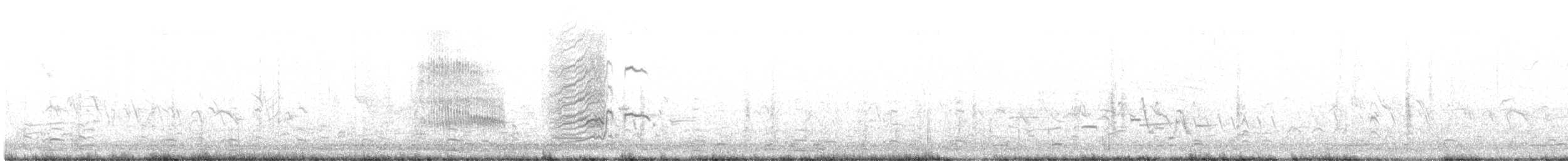 Great-tailed Grackle - ML633607271