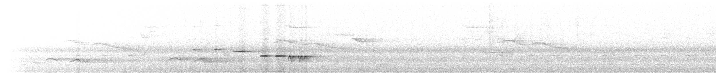 Gray-bellied Tesia - ML633607900