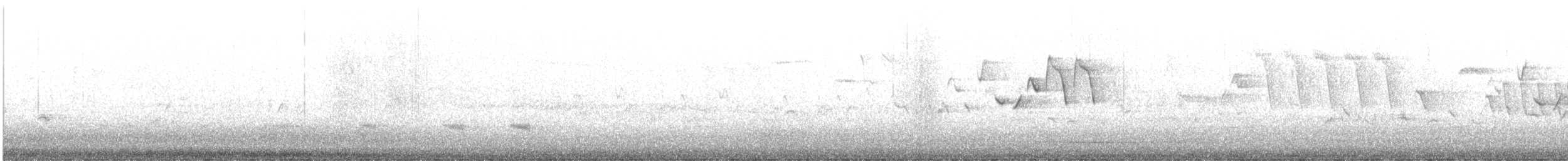 Turdus sp. - ML633616223