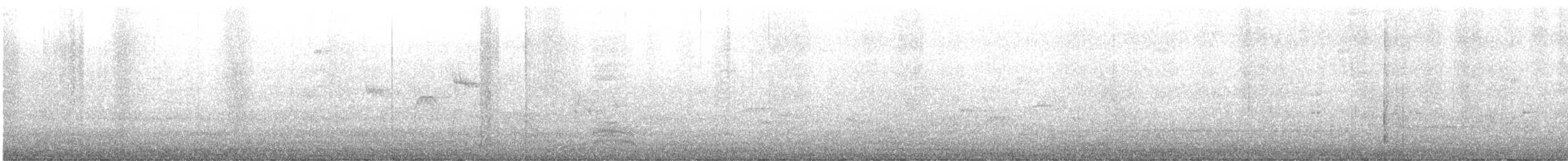 Corvus sp. (crow sp.) - ML633616299