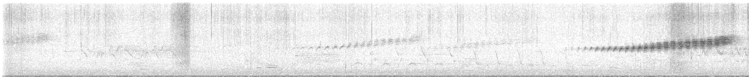 Prairie Warbler - ML633628082