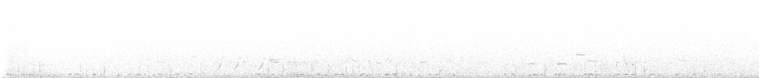 Greater Sage-Grouse - ML633628865