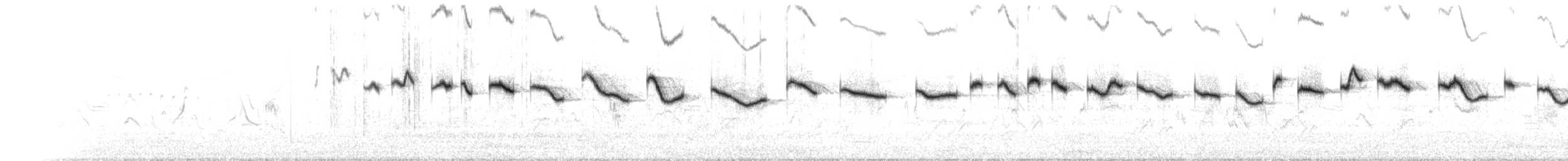 Salpornis tacheté - ML633629245