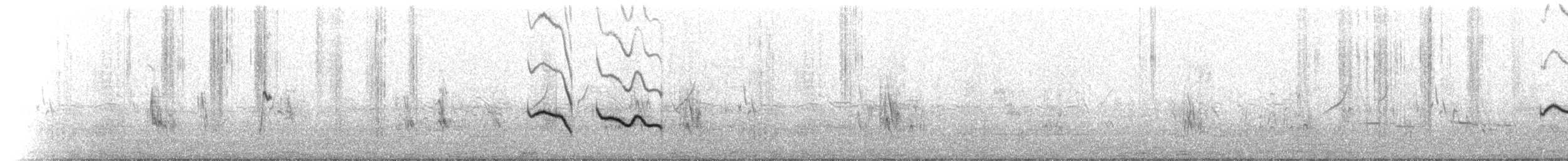 Salpornis tacheté - ML633629246