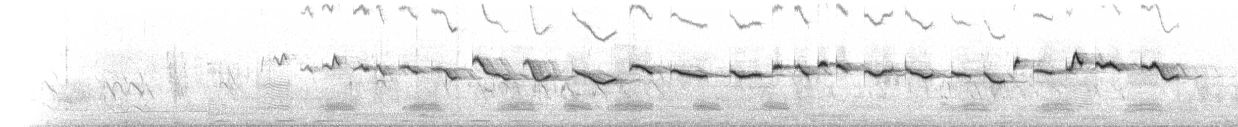 Salpornis tacheté - ML633629255