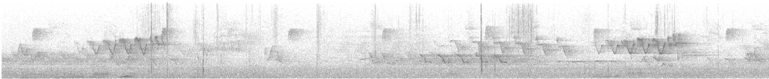 Paruline azurée - ML633630254