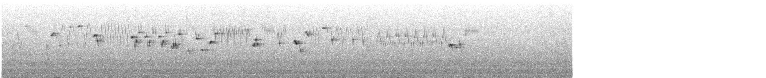 Pacific Wren - ML633632388