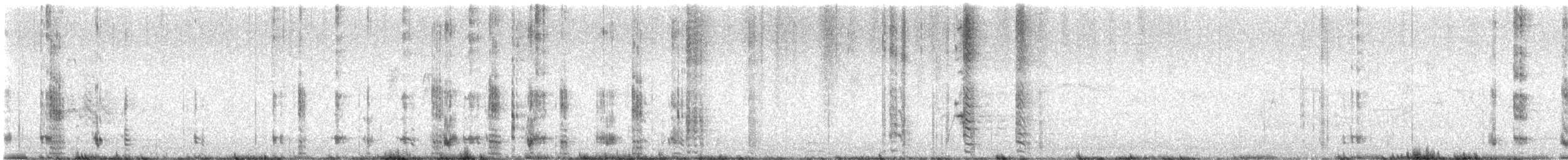 Tasmanian Nativehen - ML633634494