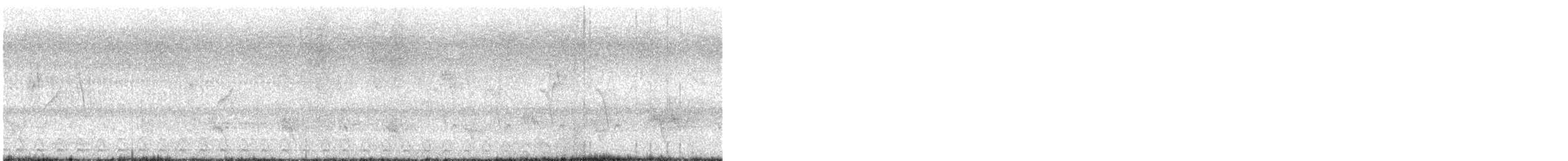 Forest Owlet - ML633641815