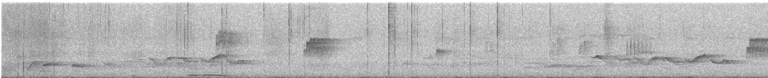 Chouette leptogramme - ML633642409