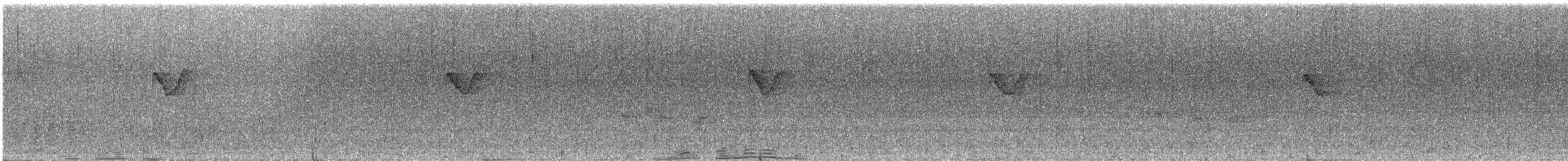 Yellow-browed Warbler - ML633642953