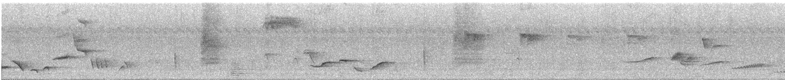 White-rumped Shama - ML633643128