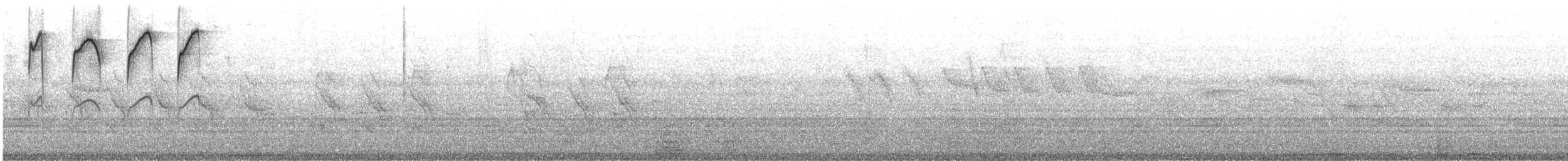spettmeis (europaea gr.) - ML633645444