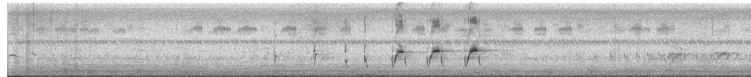 Striated Grassbird - ML633647961